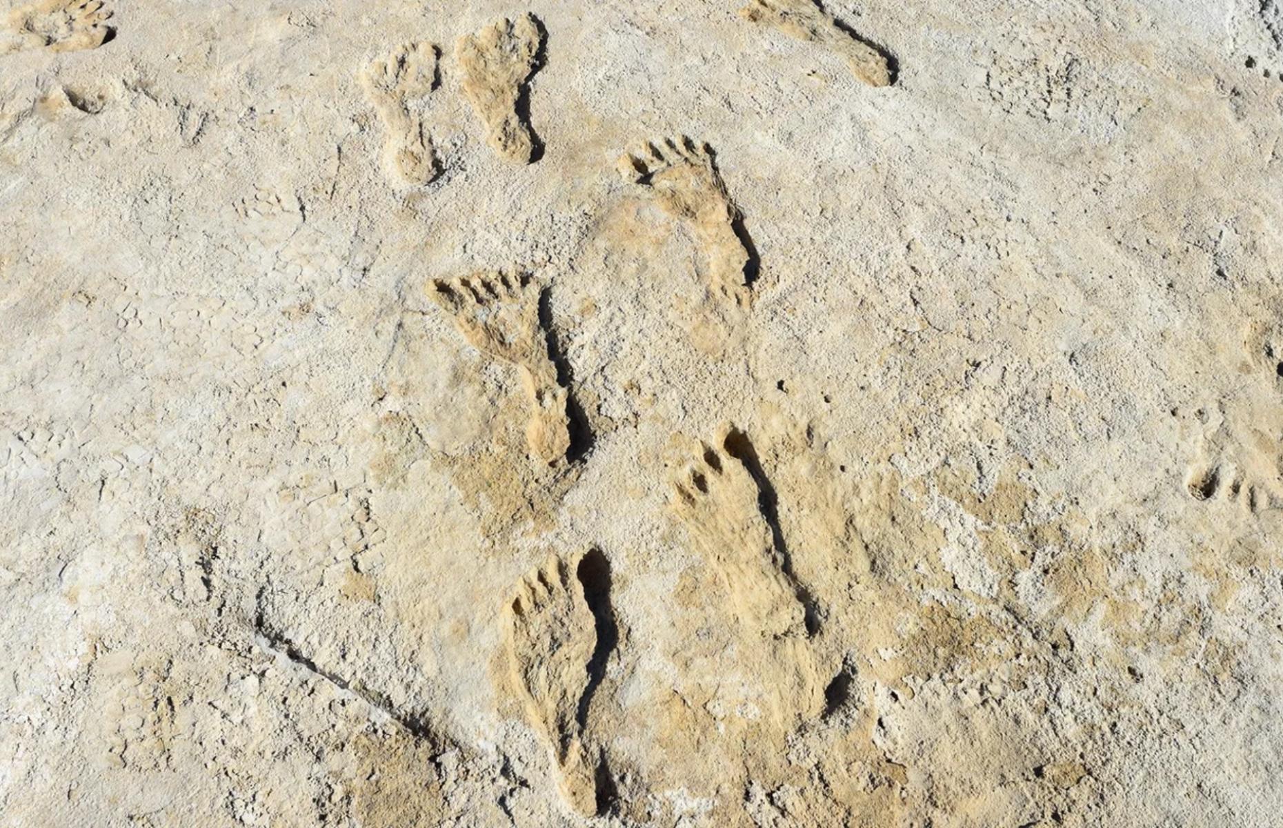 White Sands footprints, New Mexico, USA